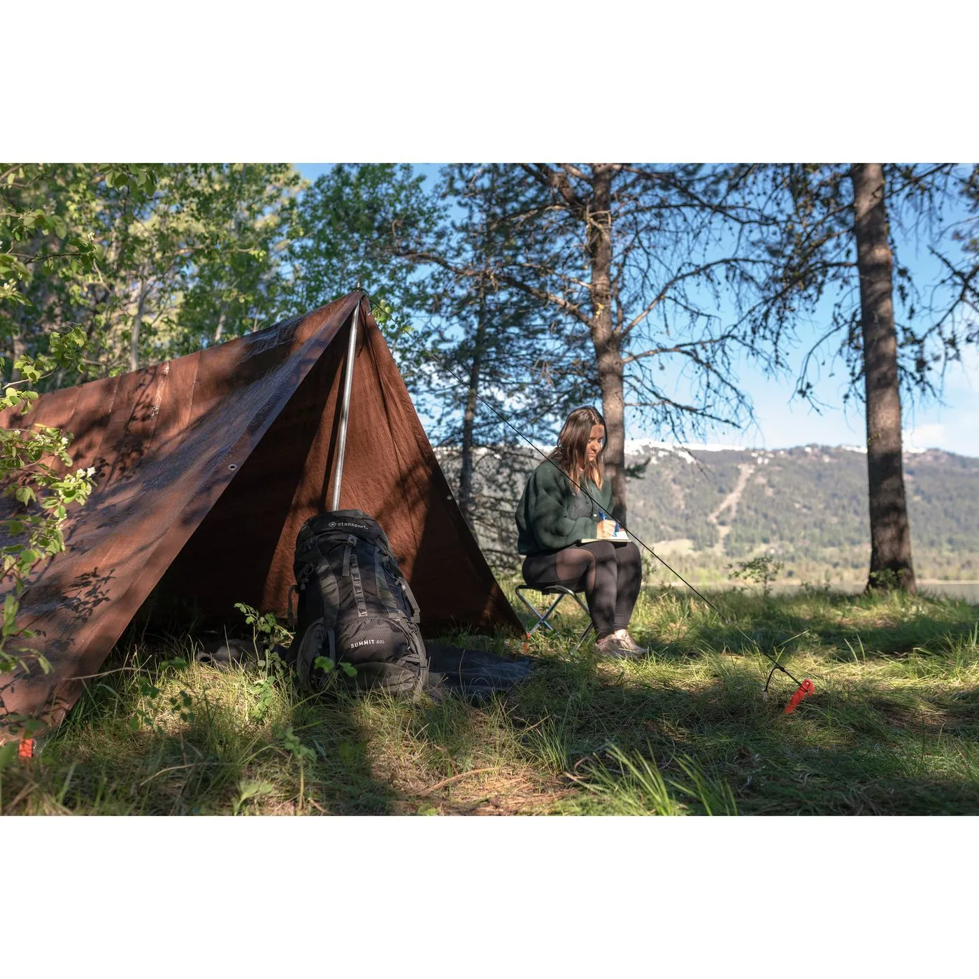 PLASTIC TENT STAKES - 9 IN - 1